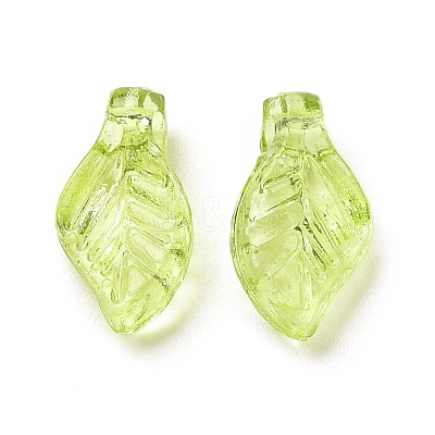 Transparent Acrylic Charms TACR-G041-01A-1