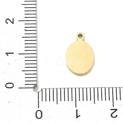 304 Stainless Steel Charms SA-CBA2714-01C-G-1