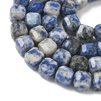 Natural Blue Spot Jasper Beads Strands G-C267-A20-1