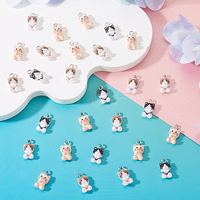 30Pcs Opaque Resin Pendants RESI-TA0004-94-1