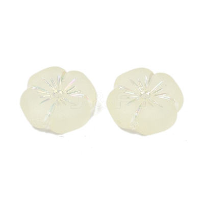 Frosted Transparent Acrylic Beads OACR-P029-19B-03-1