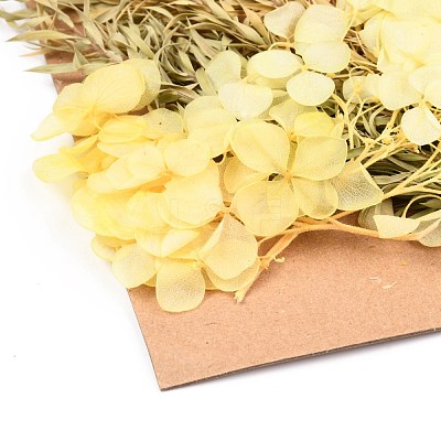 Dried Flower DIY-B018-15-1