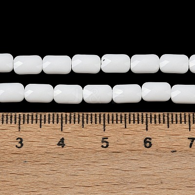 Opaque Glass Beads Strands GLAA-Z018-D17-1