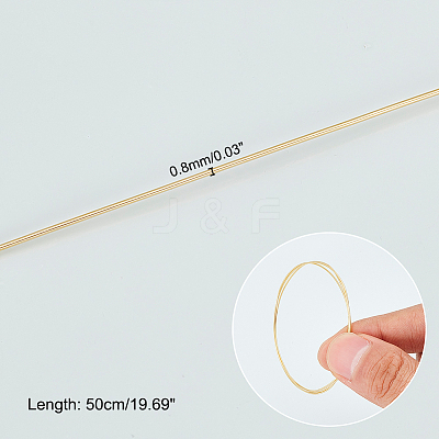 50CM Sterling Silver Wire STER-PH0001-19A-1