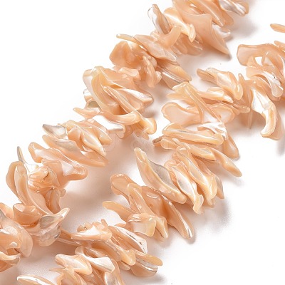 Natural Trochid Shell Beads Strands SSHEL-G023-05C-1
