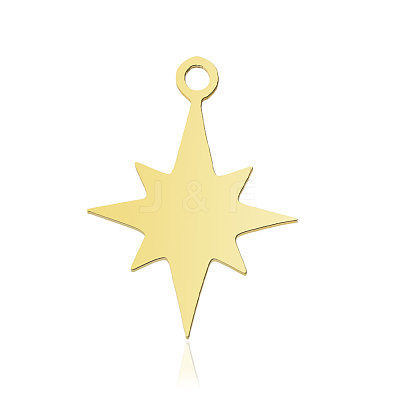 Ion Plating(IP) 201 Stainless Steel Pendants STAS-N090-LA890-2-1