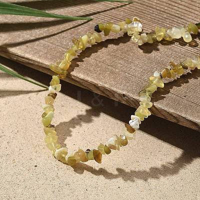 Natural Supper 7 Rutilated Quartz Chip Beaded Necklaces for Men Women NJEW-G159-01B-1