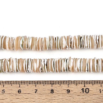 Luminous Natural Seashell Shell Beads Strands SSHEL-T017-34-1
