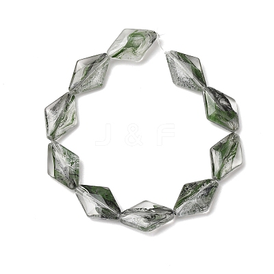 Transparent Handmade Lampwork Beads LA-CBAF0C8-02I-1