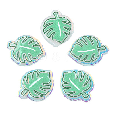 Transparent Printed Acrylic Cabochons TACR-N016-30-1