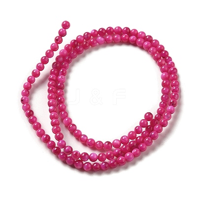 Natural Freshwater Shell Beads Strands X-SHEL-H003-03F-1