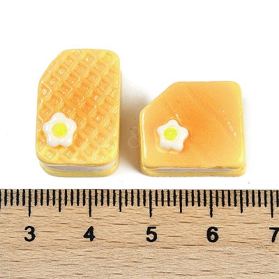 Resin Cabochons RESI-H166-12-1
