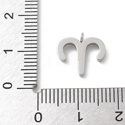 304 Stainless Steel Micro Pave Cubic Zirconia Charms STAS-Z107-09P-02-1