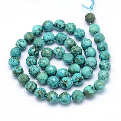 Natural Howlite Beads Strands TURQ-P027-42-1