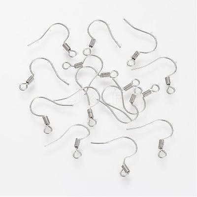 Tarnish Resistant 304 Stainless Steel Earring Hooks STAS-S066-10-1