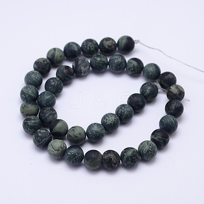 Natural Kambaba Jasper Beads Strands G-D744-8mm-1