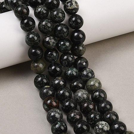 Natural Seraphinite Beads Strands G-H337-A03-05-1