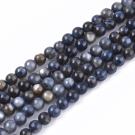 Freshwater Shell Beads Strands SHEL-S276-32A-1