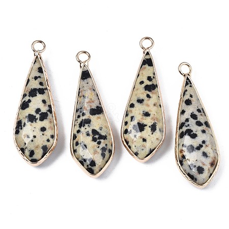 Natural Dalmatian Jasper Pendants G-S359-319C-1