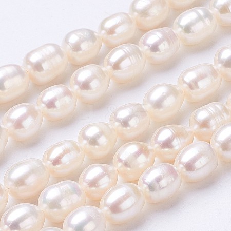 Natural Cultured Freshwater Pearl Beads Strands PEAR-P002-55-1