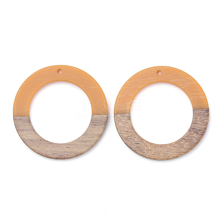 Resin & Wood Pendants RESI-T023-05E-1