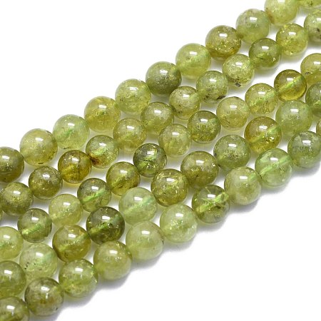 Natural Green Garnet Beads Strands G-K310-C17-8mm-1
