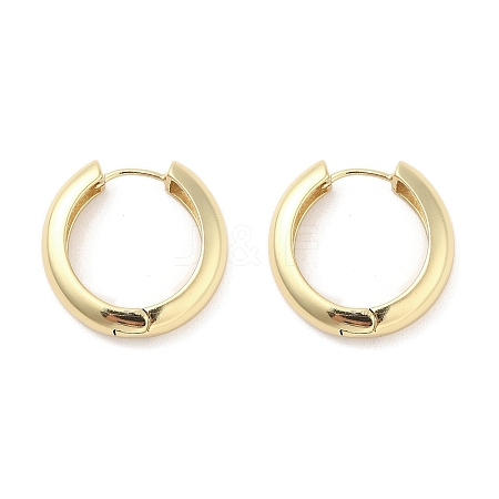 Brass Hoop Earrings EJEW-M260-08G-1