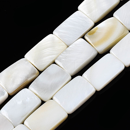 Natural Freshwater Shell Beads Strands SHEL-Q024-013-1