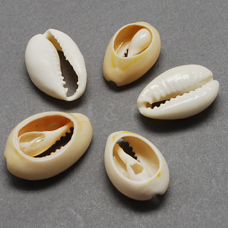 Natural Cowrie Shell Beads BSHE-Q296-1-1