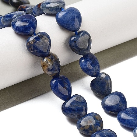 Natural Sodalite Beads Strands G-B022-36C-1