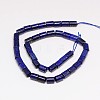 Natural Lapis Lazuli Column Bead Strands X-G-I115-04-2