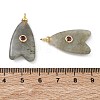 Brass & Natural Labradorite & Cubic Zirconia Pendants GG-CBAD360-20G-04-3