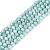 Anti-Tarnish Dyed Rondelle Glass Beads Strands EGLA-T021-3mm-17-06-1