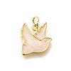 Brass Enamel Charms KK-L225-044G-1