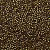 TOHO Round Seed Beads SEED-JPTR11-0389-2
