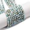 Natural Larimar Beads Strands G-F803-B01-02-2