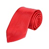 Polyester Ties for Men AJEW-WH20006-250B-10-1