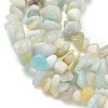 Natural Flower Amazonite Chips Beads Strands X-G-M205-12B-7