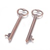 Tibetan Style Zinc Alloy Key Big Pendants EA11911Y-R-1