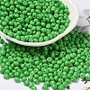 6/0 Opaque Baking Paint Glass Seed Beads SEED-M012-02A-06-1