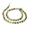 Natural Rhyolite Jasper Beads Strands G-O201B-08-2