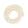 Shell Beads Strands SSHEL-E571-38-4mm-2