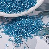 MIYUKI Delica Beads SEED-J020-DB0692-1