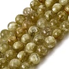Natural Lepidolite Beads Strands G-F799-B02-12mm-2