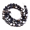 Natural Freshwater Shell Beads Strands SHEL-S276-110A-01-2