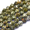 Natural Rhyolite Jasper Beads Strands G-L552O-01-10mm-1