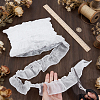 Polyester Lace Ribbon SRIB-NB0001-22A-3