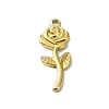 Ion Plating(IP) 304 Stainless Steel Pendants STAS-B058-17G-05-1
