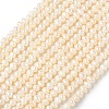 Natural Cultured Freshwater Pearl Beads Strands PEAR-C004-02B-2