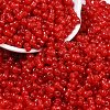 Transparent Colours Glass Seed Beads SEED-R001-01I-1